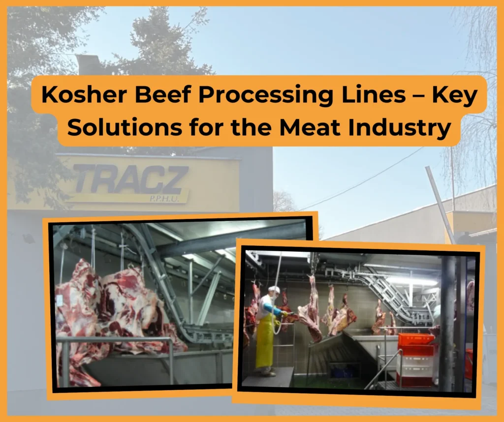 Kosher Beef Processing Lines – Key Solutions for the Meat Industry