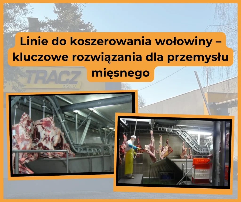Linie do koszerowania wołowiny – kluczowe rozwiązania dla przemysłu mięsnego