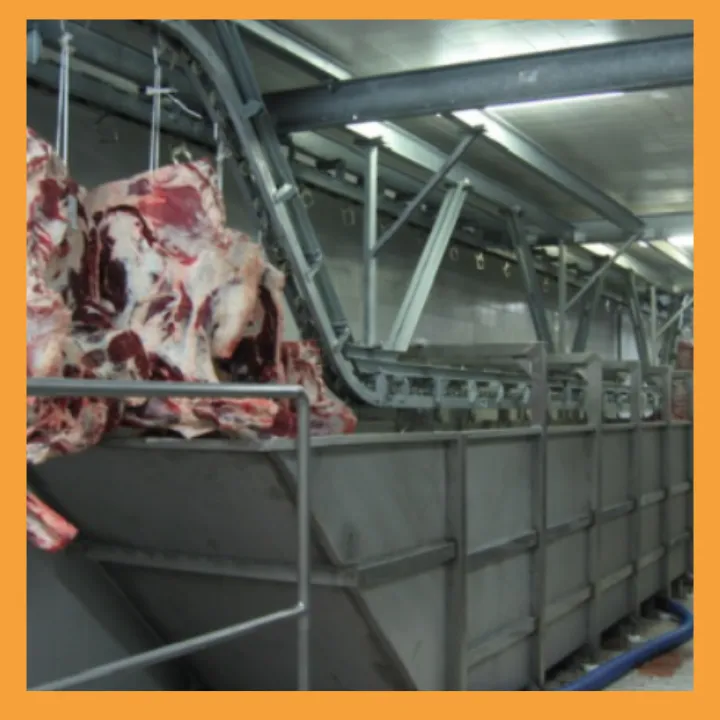 Beef Kosherization Lines _2