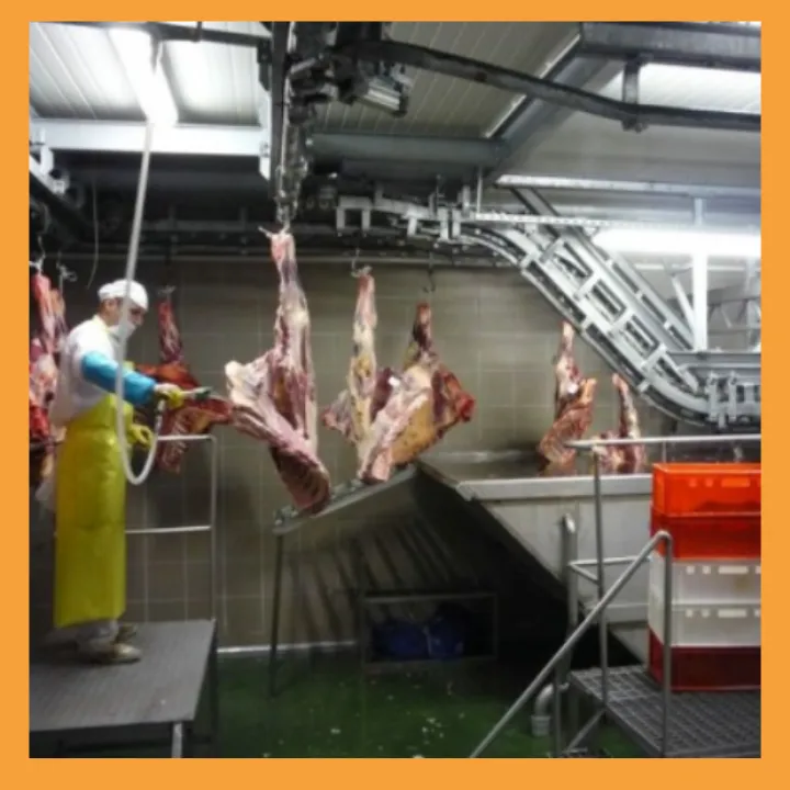 Beef Kosher line_1