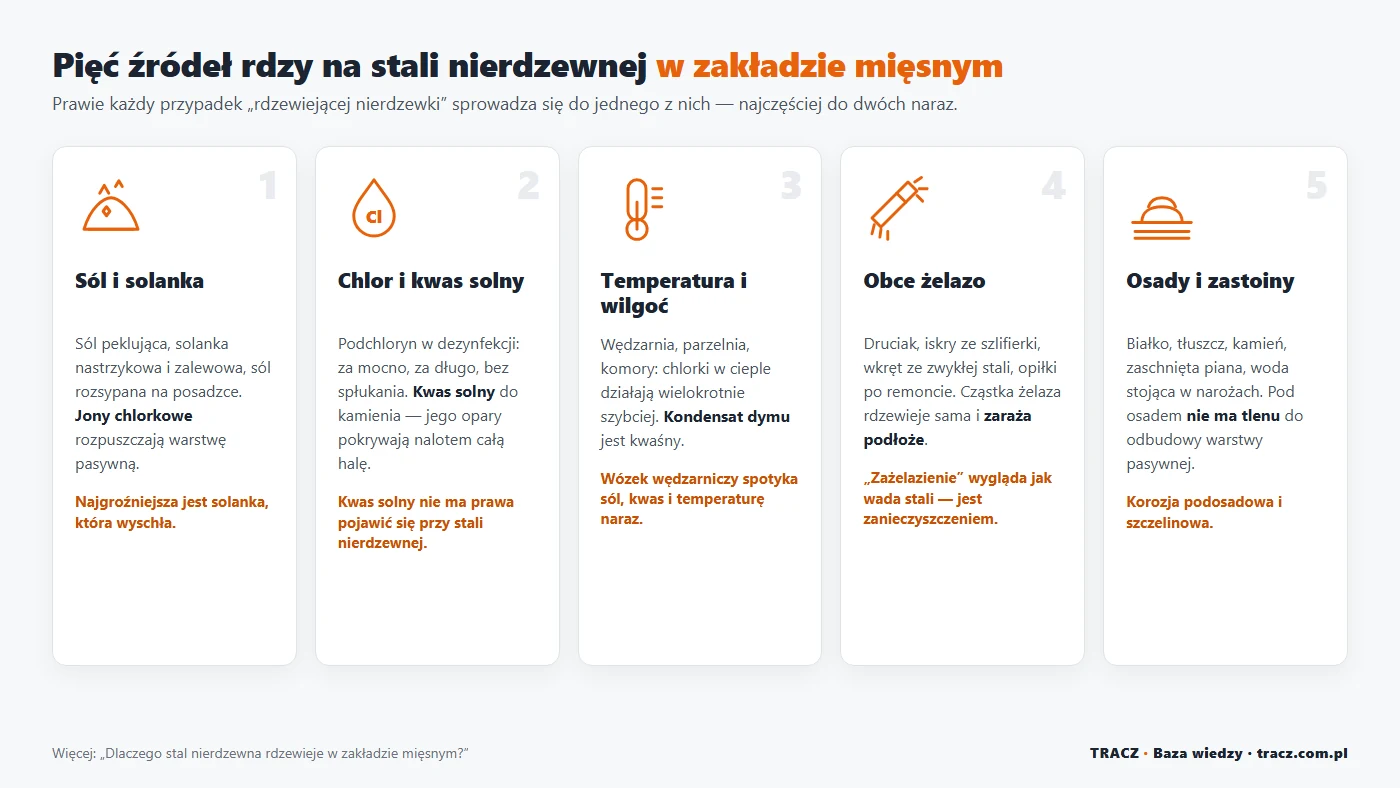 Pięć źródeł rdzy na stali nierdzewnej w zakładzie mięsnym: sól i solanka, chlor i kwas solny, temperatura i wilgoć, obce żelazo, osady i zastoiny
