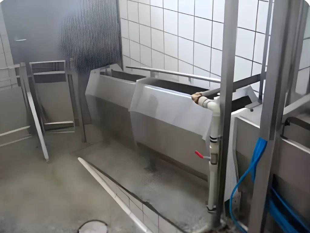 Stainless-steel pig-driving lane in the reception zone of a meat-processing facility.